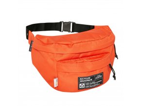 JANSPORT JANSPORT Recycled Waistpack Waist Bag JS0A4QV47G6