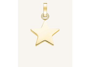 7481 2 rosefield privesek zlate barvy symbol star