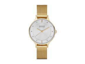 13987 skagen anita lille damske hodinky skw2150