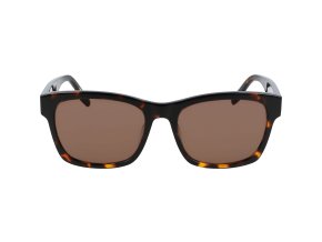 CV501S ALL STAR 239