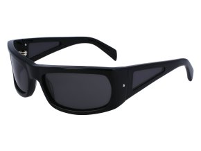 SF1099S 001