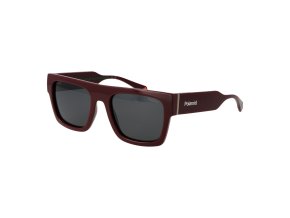 PLD 6224 S X 54LHFM9