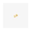 PIERCING RADIANT WOMEN RY000141 ( )
