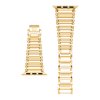 Anne Klein Oceľový remienok pre Apple Watch 38/40/41 WK/1068GPGP38