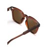ECO Shades slnečné okuliare Martelli Brown 8641