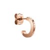 2697 4 daniel wellington ocelove nausnice dw00400146