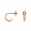 2697 3 daniel wellington ocelove nausnice dw00400146