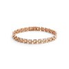 11756 daniel wellington ocelovy naramek 3 link