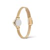 11651 2 daniel wellington petite mini 19 evergold dw00100745