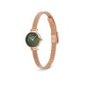 11642 1 daniel wellington petite mini 19 melrose dw00100742