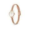 11648 1 daniel wellington petite mini 19 melrose dw00100744