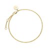 6998 1 rosefield naramek zlate barvy thin chain jbolg j599