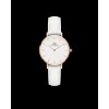 4494 1 daniel wellington petite dw00100249