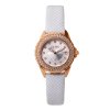 WF1B006ST