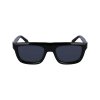SF2009S 001 2