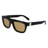 SF2009S 011