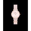 4566 1 daniel wellington petite dw00100512