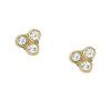 8939 fossil damske nausnice ocelove jf04110710