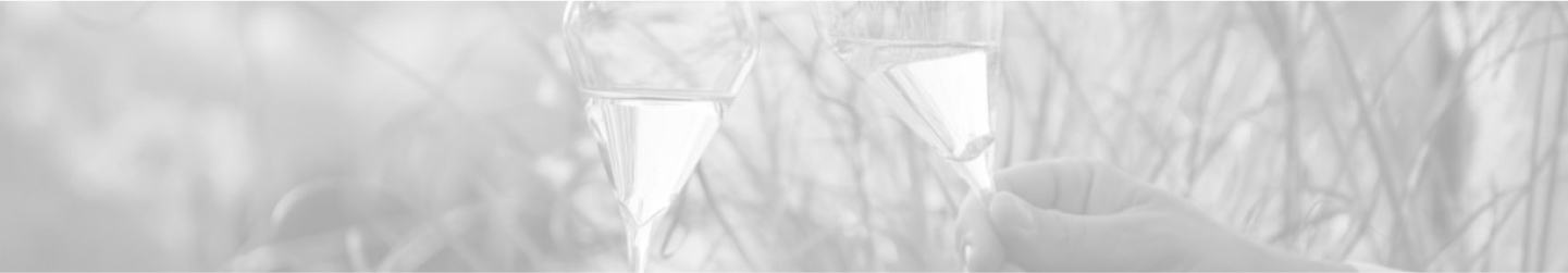 banner_cat