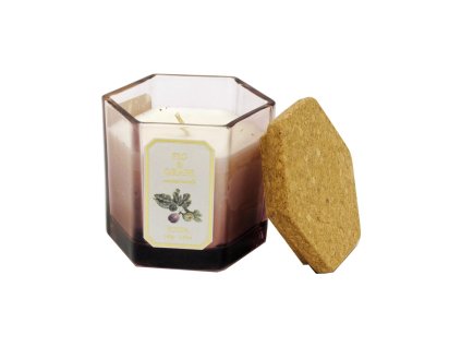 46941 espelma fig upr(1)