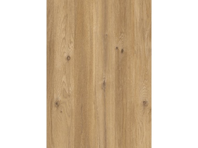 A860