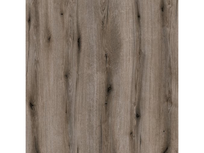 K366 PW FOSSIL EVOKE OAK