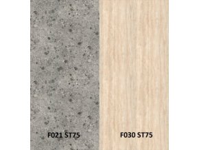 F021 F030