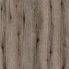 K366 PW FOSSIL EVOKE OAK