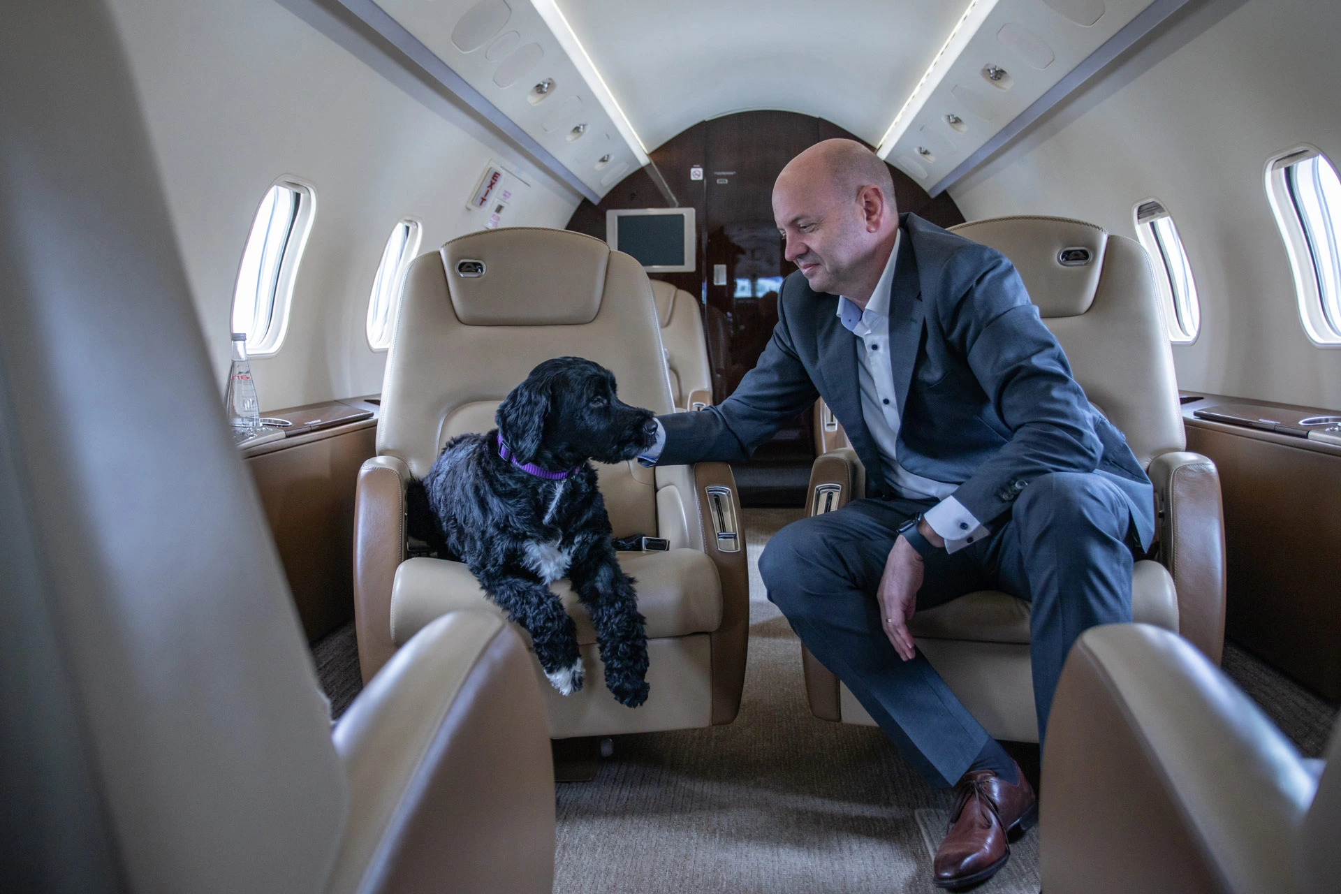 Pets via business jet Mobile