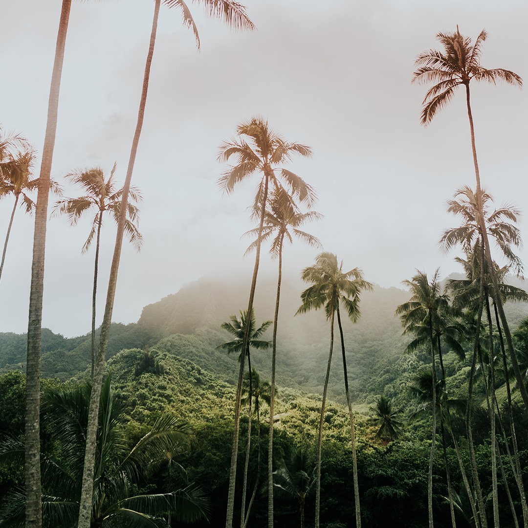 104410748_141378144217617_7351516223319784636_n