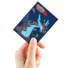 Pokémon UP: Mega Charizard X - DP obaly na karty 65 ks 1