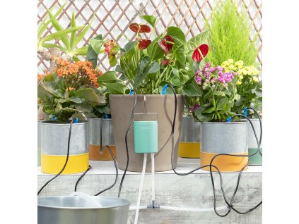 V0103438 000 MKT v 14