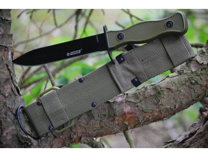 25b181e87b51954370a2a42583b453b5