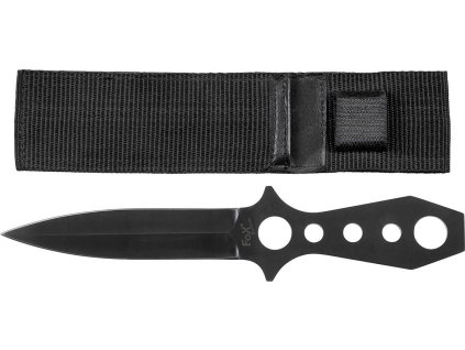 a4475dcfc283e57d94e50b3206ca2038