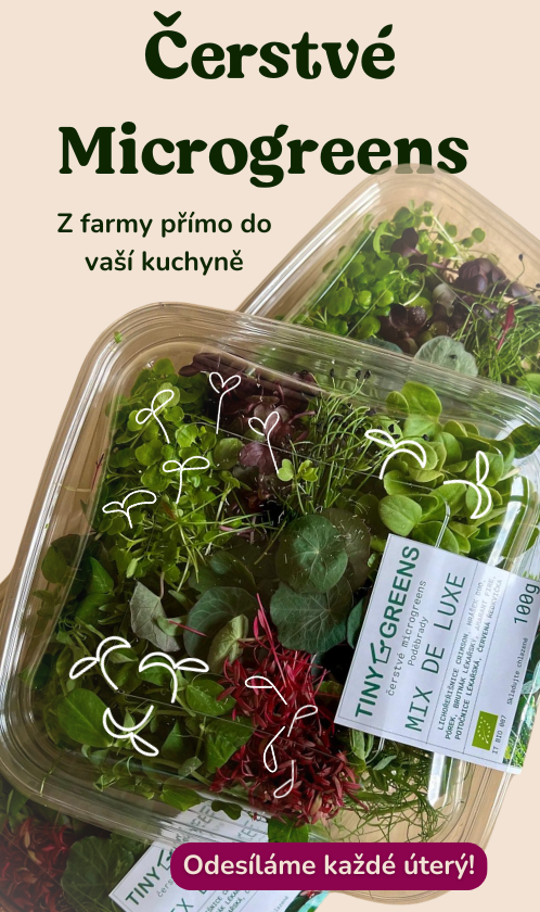 Čerstvé Microgreens - odesíláme každé úterý