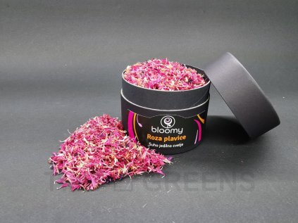 pink cornflower (3)