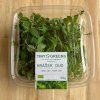 Hrášek - čerstvé microgreens