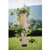 100538 SISSI STRAWBERRY hanging white 3