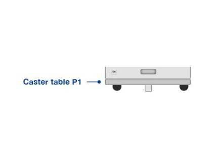 Caster Table P1