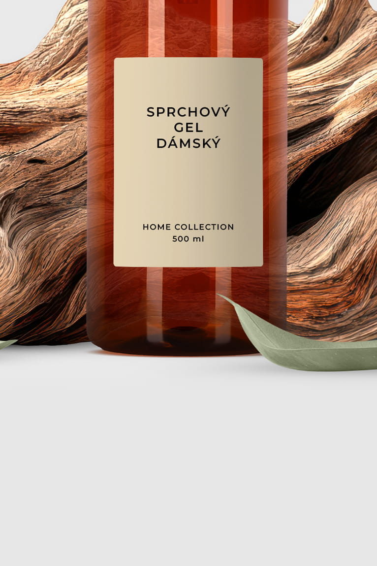 Organizace domácnosti