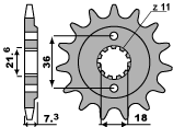 381_field_image_pignone_10