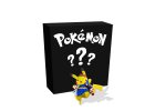 Pokémon Mystery Box