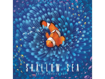 Shallow Sea