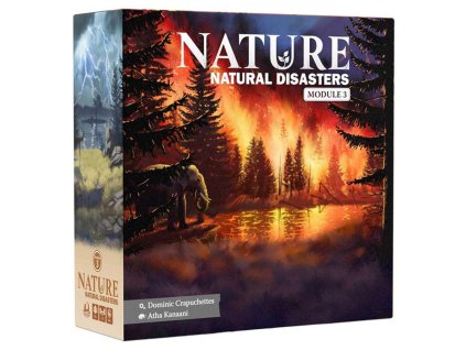 NSG763 web Box 3D L 96057 37170.1751480421[1]