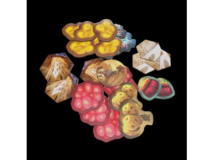 ACRYLIC TOKENS HORRORS OF HOXXES 2048x2048 NO BG dc68e159 8e89 432d 8a55 9fbb2441f635[1]