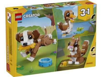 b37638e7 5b0d 448c 8c4d b352008e8da3 preview