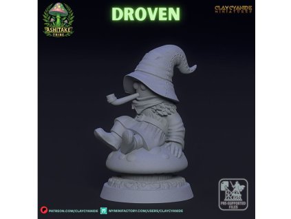 720X720 Droven 02[1]