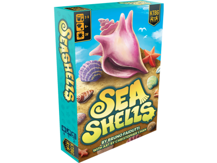 SSH box mockup[1]