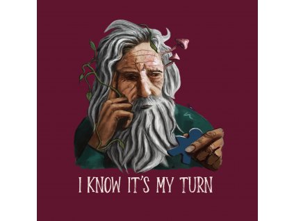 T-shirt "I know it's my turn" (deskoherní tričko)