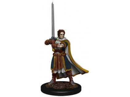 WizKids - D&D Icons of the Realms: Premium Painted Figure - Human Cleric Male